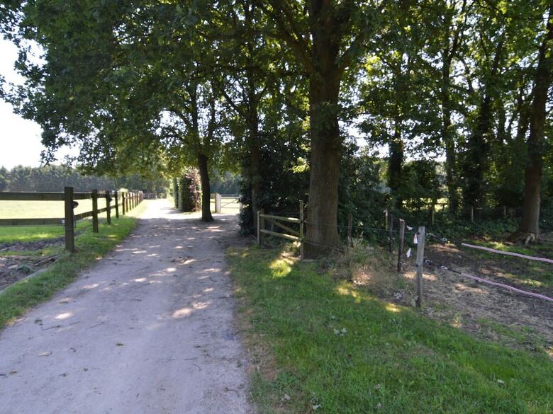 Spacious Holiday Home Near Forest In Peer