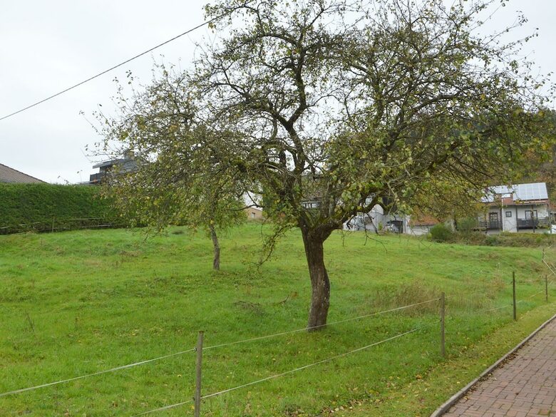 Spacious Apartment In Deudesfeld With Garden
