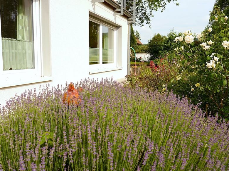 Modern Apartment In L�wensen With Private Terrace