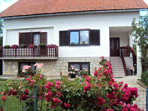 Apartments Ivona