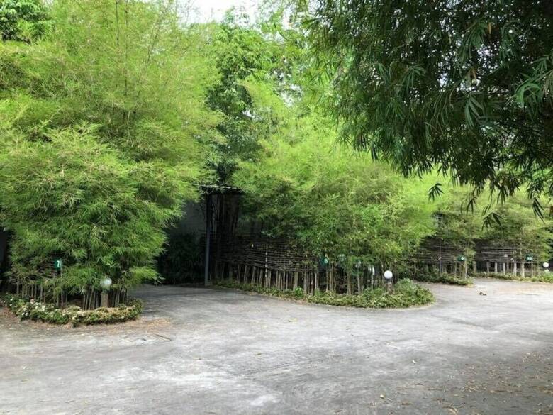 Hotel Oyo Black Bamboo Resort
