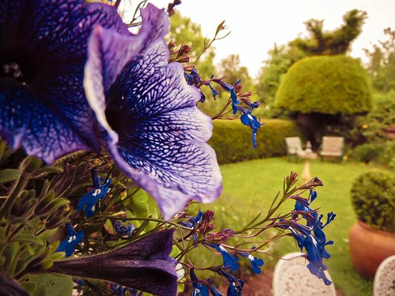 Bed & Breakfast Yew Tree House