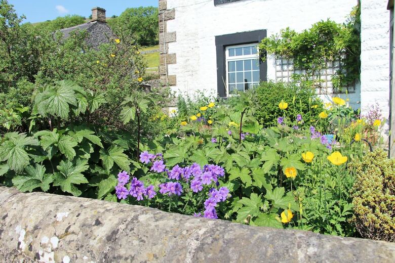 Bed & Breakfast Fernydale Farm