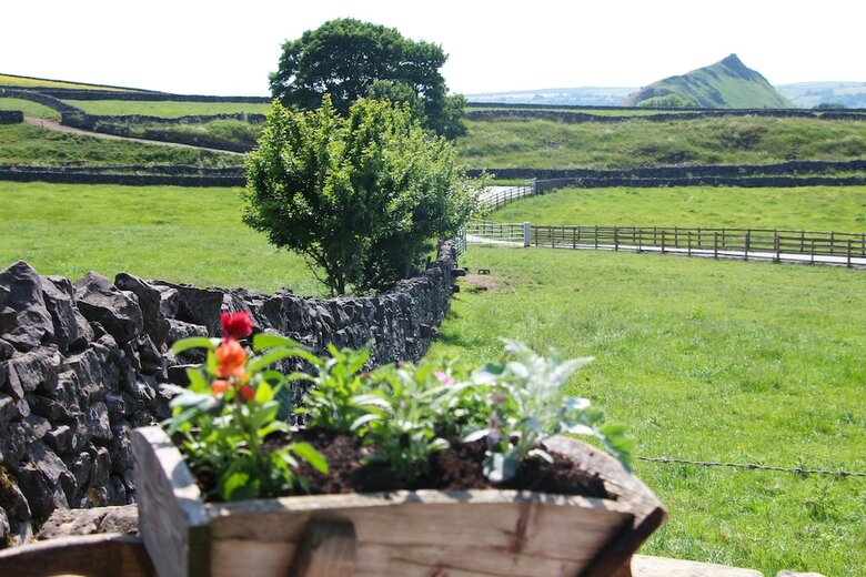 Bed & Breakfast Fernydale Farm