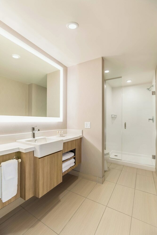 Hotel Springhill Suites By Marriott St. Paul Downtown