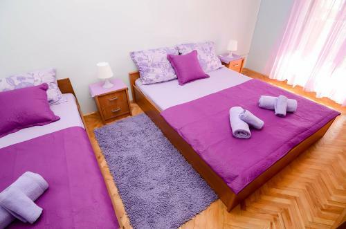 Apartments Amico