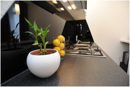 Hostal Guest House D&g -i Apartment & Room