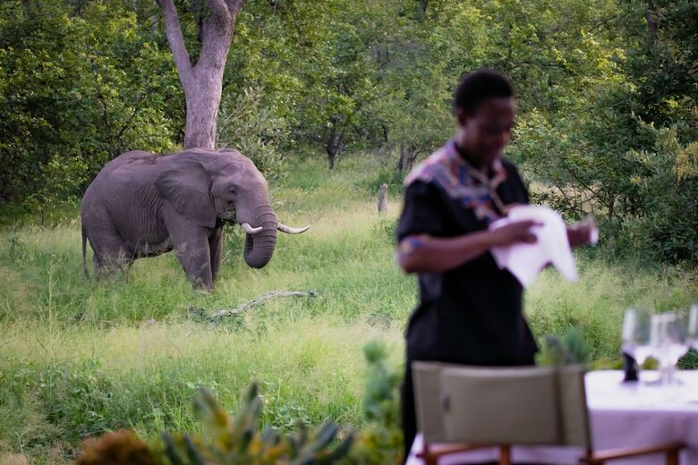 Klaserie Sands Safari Trails