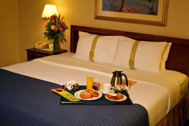 Hotel Holiday Inn Downtown Chicago