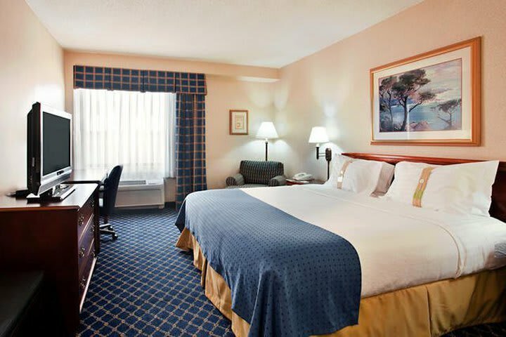 Hotel Holiday Inn Downtown Chicago