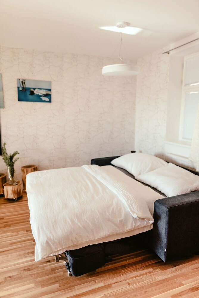 Luxury Apartments Zelny TRH 4