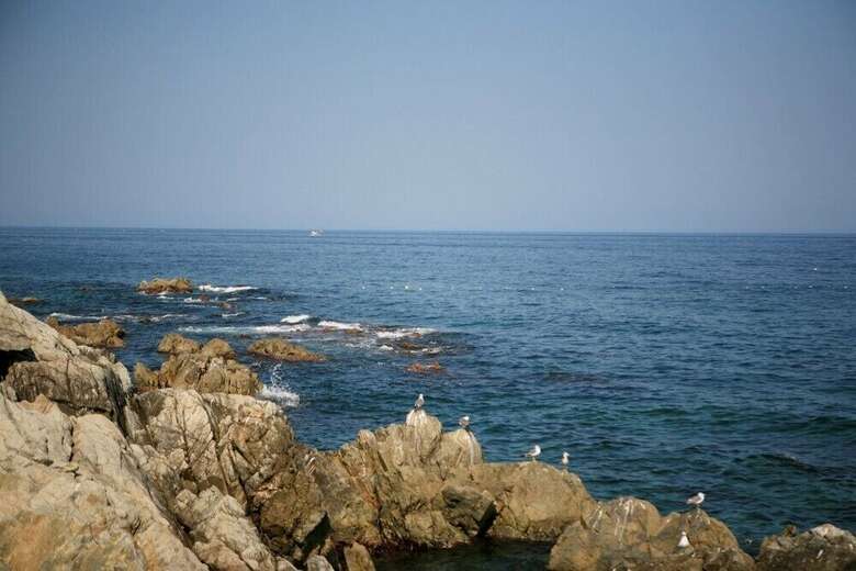 Sea Islend Pension