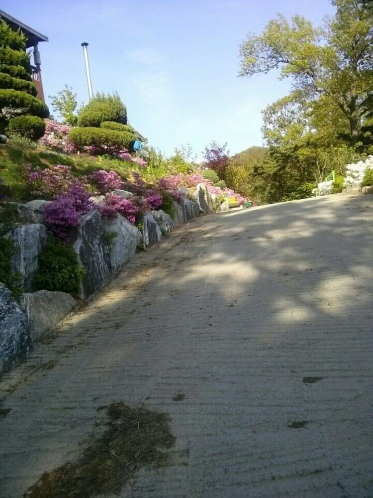 Sunshine Garden Pension