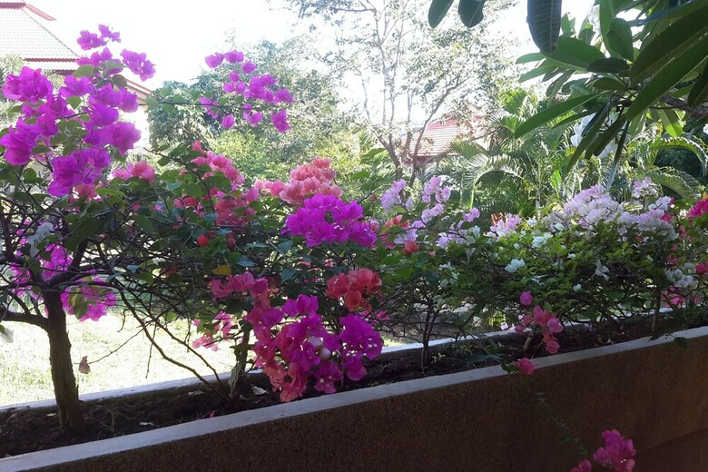6 Bedroom Twin Villas On Beach Front Resort 11/12
