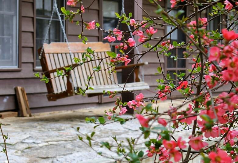 Posada Wilderness Lodge