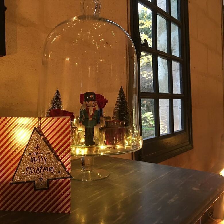 Hotel Chateau Beaulieu de Cl�o