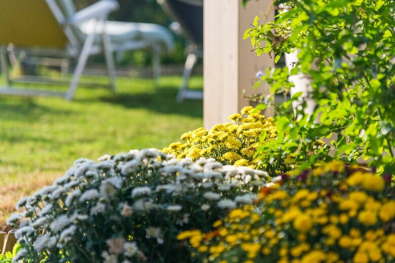 Apartamento Muses: Panoramic View, Close To Historical Sites