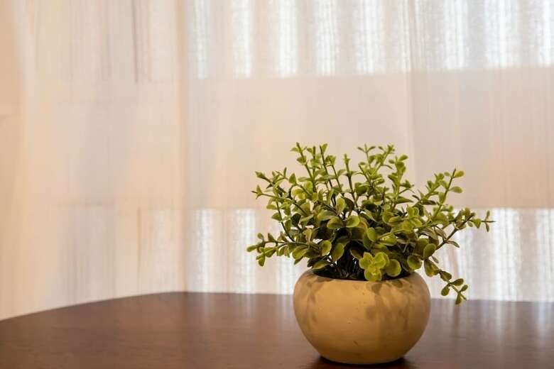 Apartamentos R-guest Residence