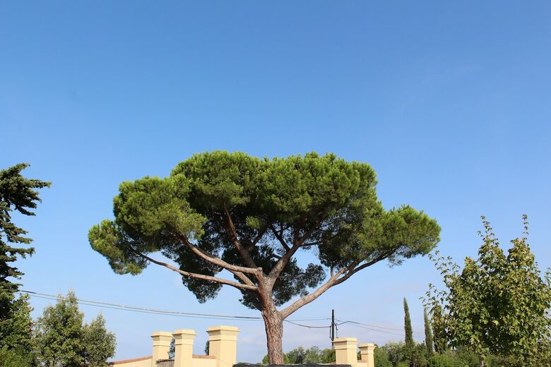 Apartamento Toscana Biovillage