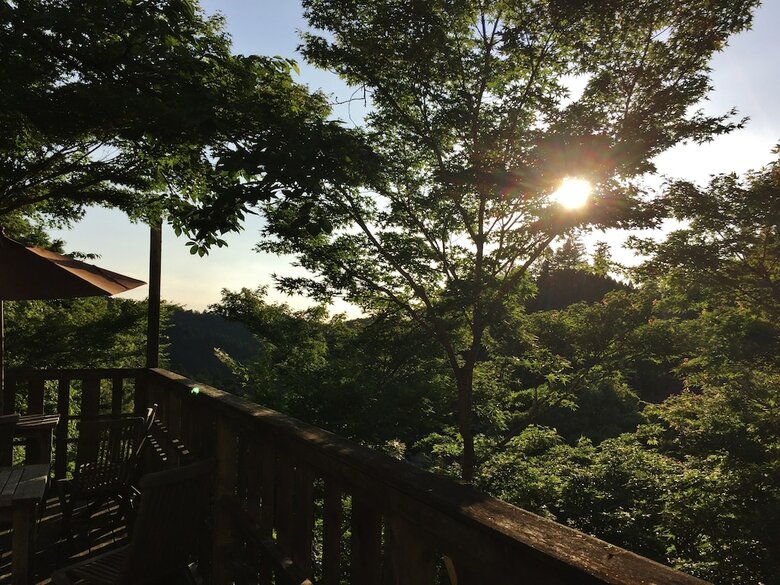 Sakoya -yoshino-