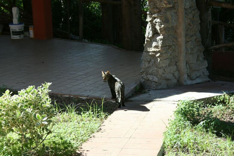 Agroturismo Agriturismo Ruralia
