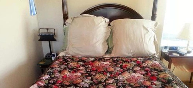 Bed & Breakfast Old Irish Bandb @ Patricks' Pastures Alpaca Ranch
