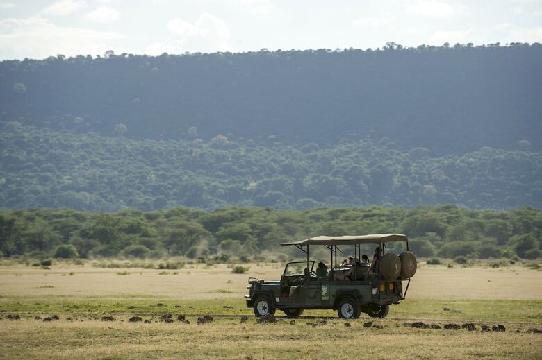 Hotel Lake Manyara Serena Safari