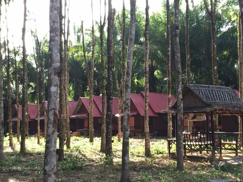 Hotel Khao Sok Evergreen House