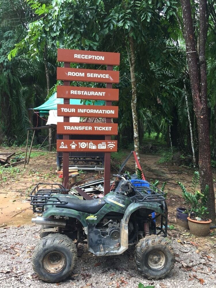 Hotel Khao Sok Evergreen House