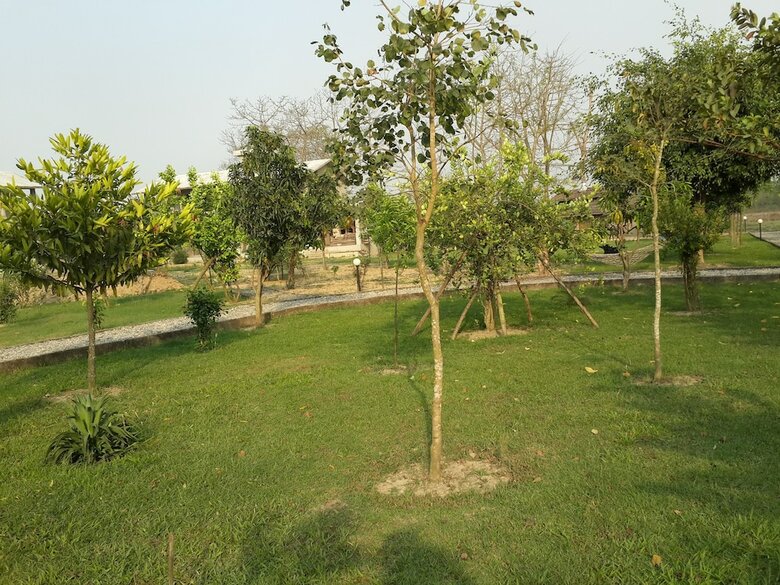 Apartamento Wildlife Adventure Resort