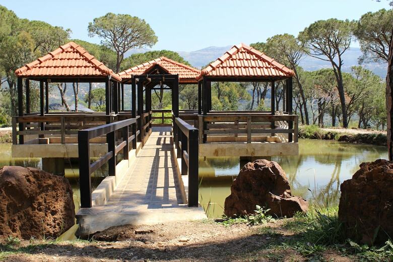 Pineland Hotel And Health Resort