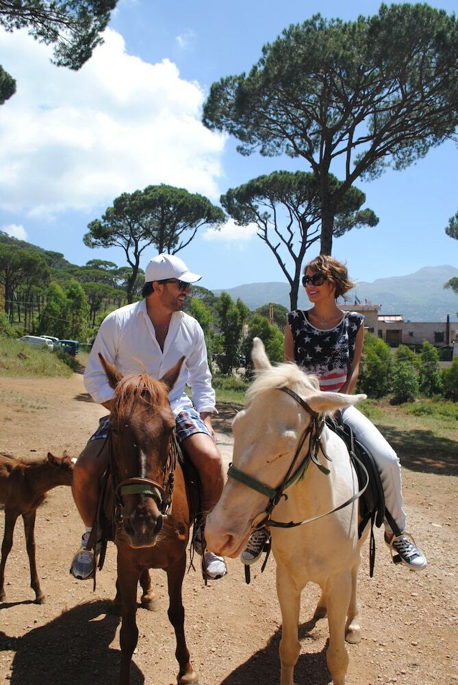 Pineland Hotel And Health Resort