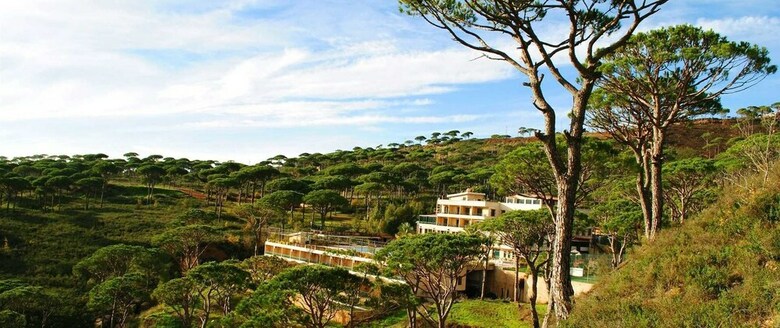 Pineland Hotel And Health Resort