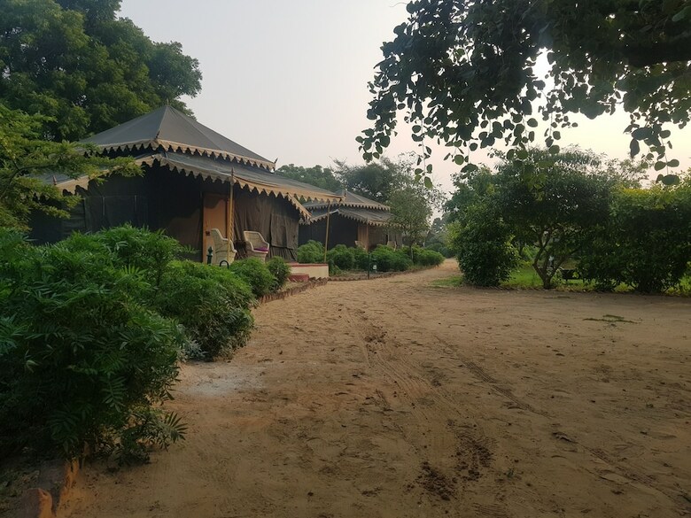 Orchard Tents & Tranquility