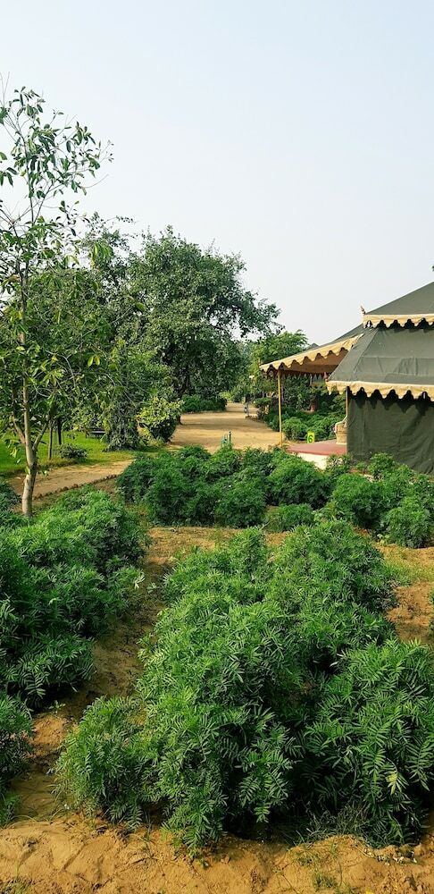 Orchard Tents & Tranquility