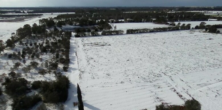 Agroturismo Masseria La Torre