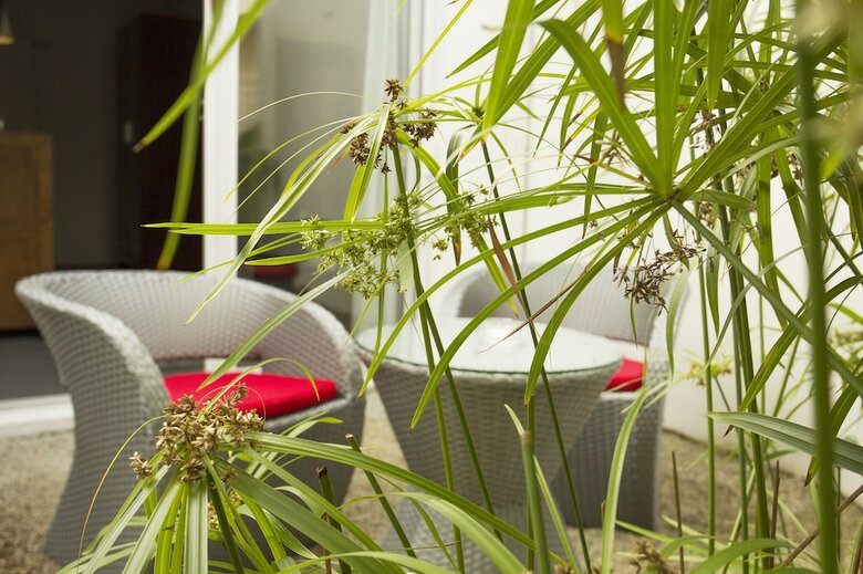 Bed & Breakfast Esprit Libre Restaurant And Guest House