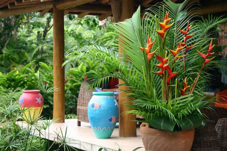 Apartamento Itamambuca Eco Resort