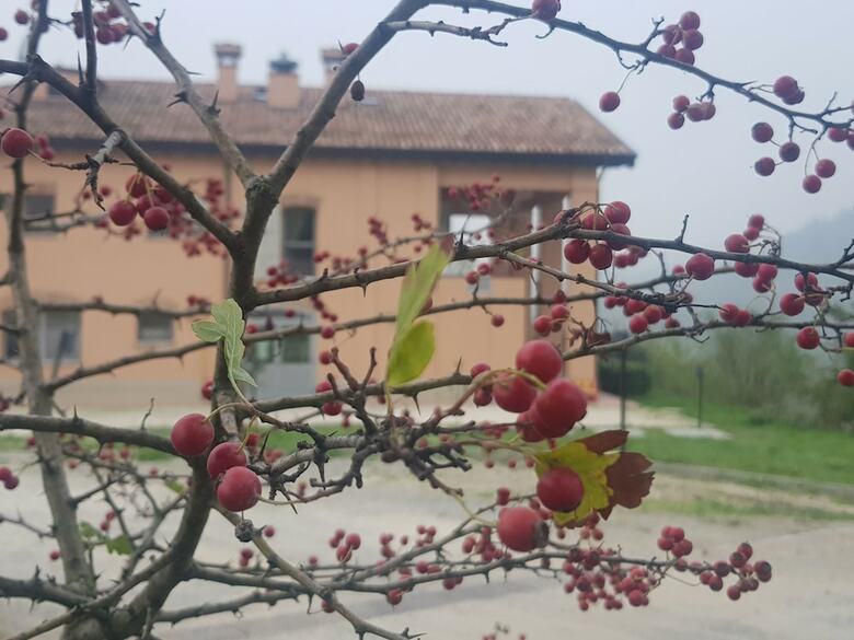 Agroturismo Agriturismo Ben Ti Voglio