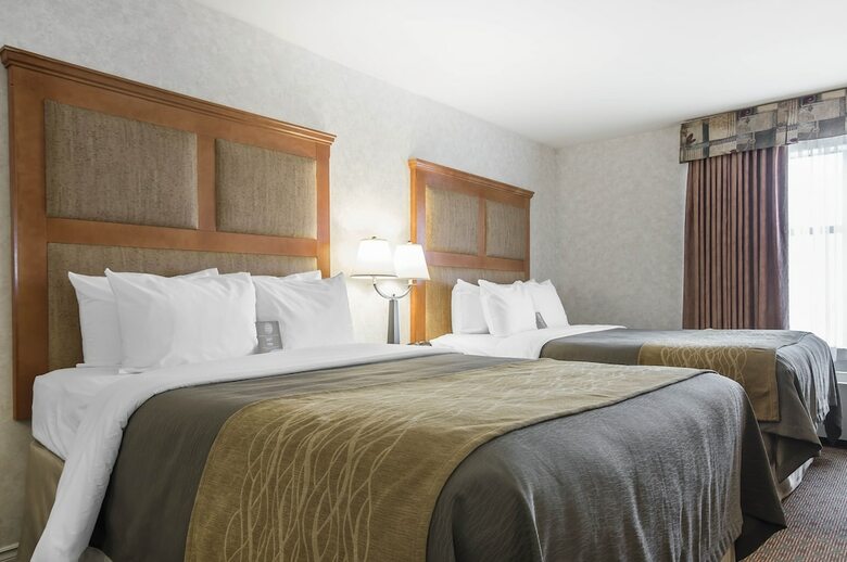 Hotel Comfort Inn & Suites