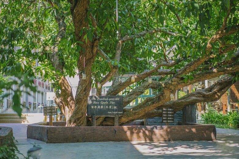 Apartamento Summer Bay Lang Island Resort