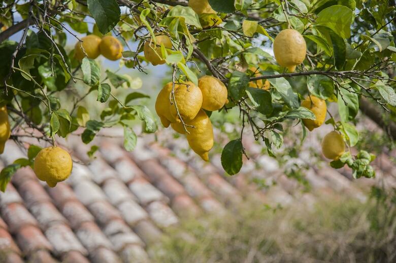 Agroturismo Agriturismo Bergi
