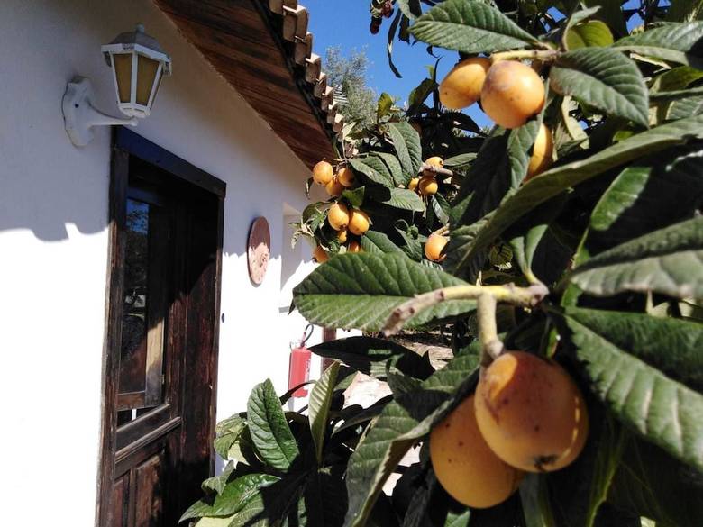 Agroturismo Agriturismo Capocorso