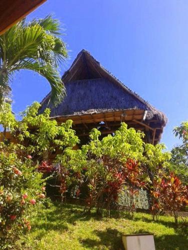 Hotel Villas Punta India