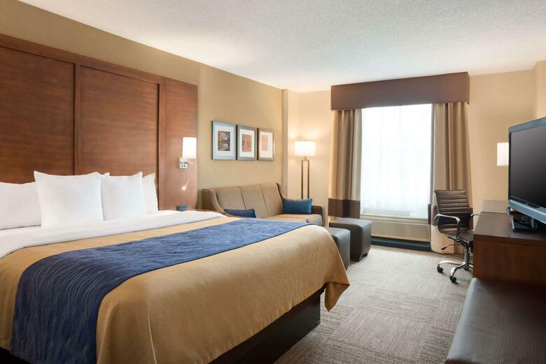 Hotel Comfort Inn & Suites Downtown