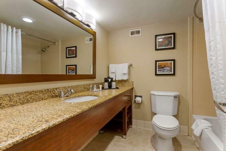 Hotel Comfort Inn & Suites Downtown