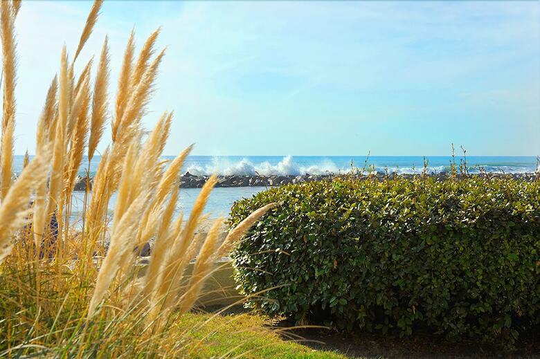 Residencia R�sidence de Tourisme L'albatros