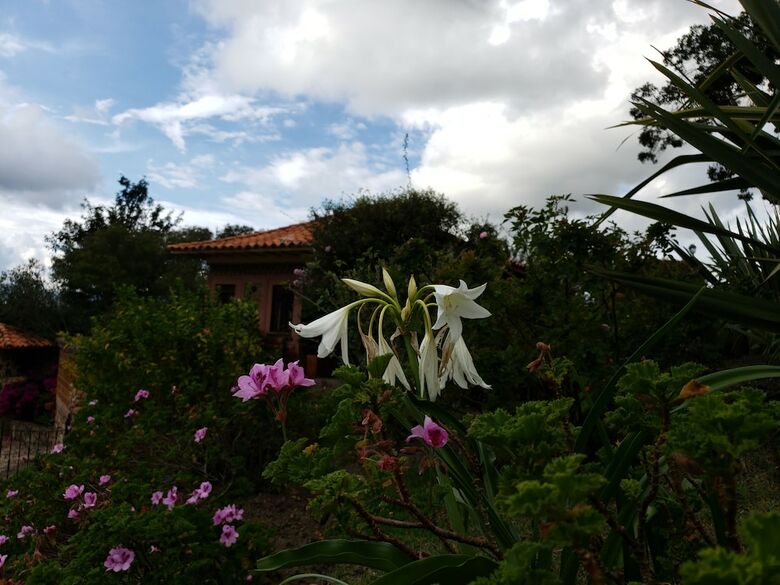 Hotel La Primavera Suites & Casas Campestres