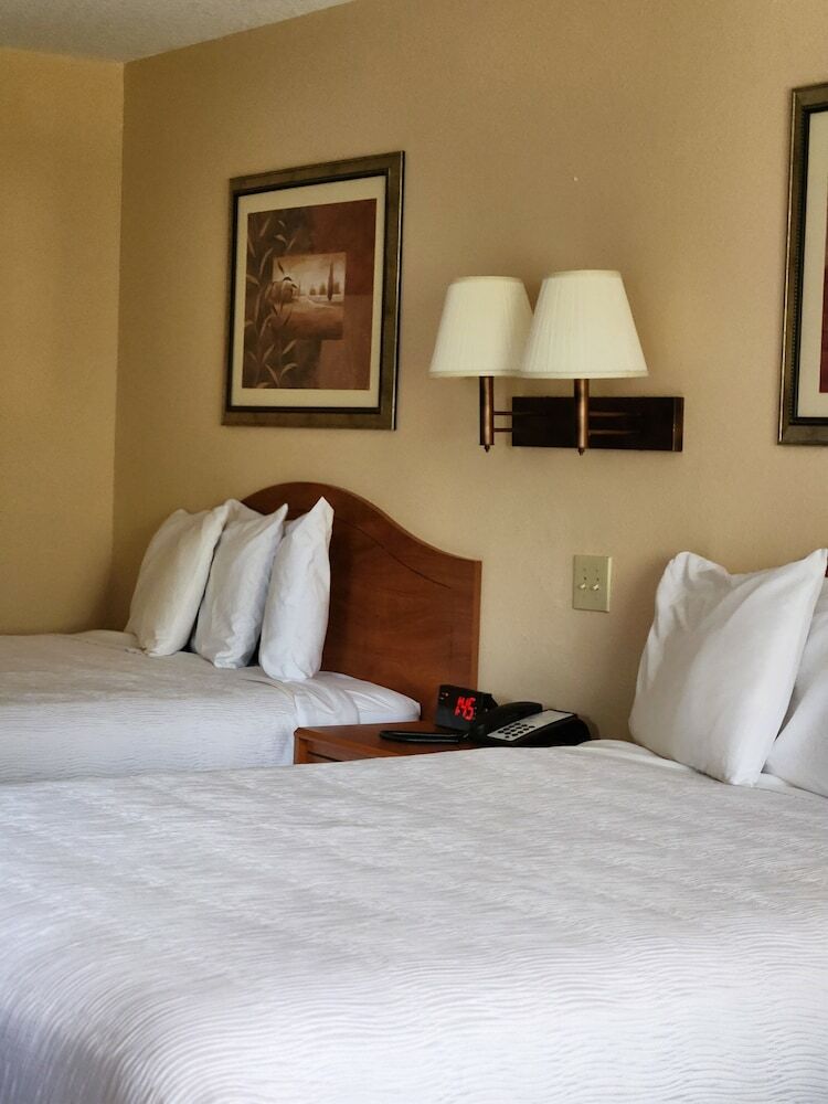 Hotel Luxury Inn And Suites