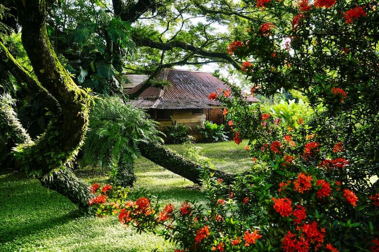Villa Ecovital Costa Rica